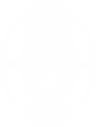 Violeta Niculuț-Anchor Group